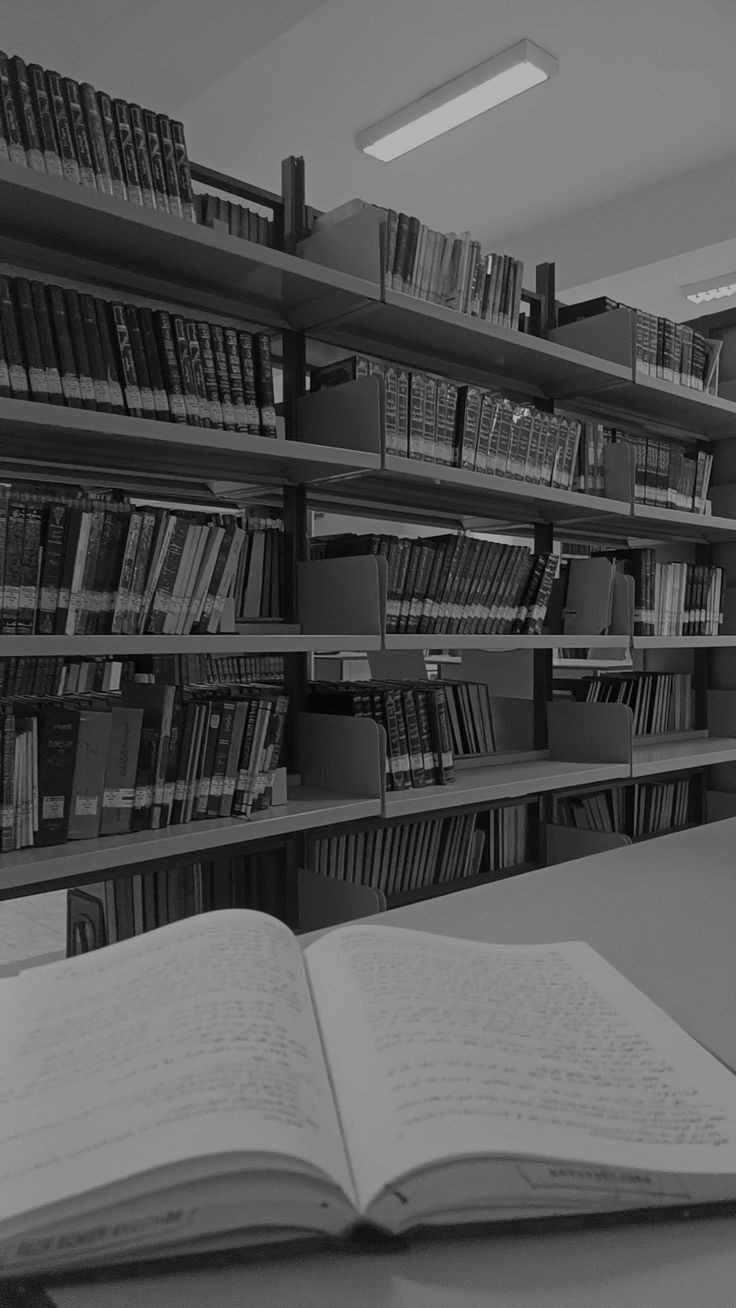 EFEKTIVITAS BUKU DIGITAL UNTUK MENINGKATKAN LITERASI DI ERA DIGITAL